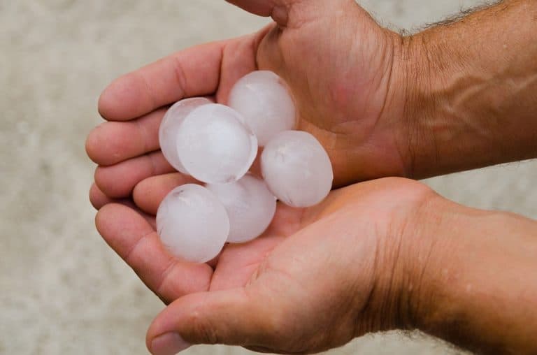 Hail Damage Repair - Minneapolis Area Pros! Call 6515606355 1 Hail Damage Repair Cupping 5 Large Hail Stones