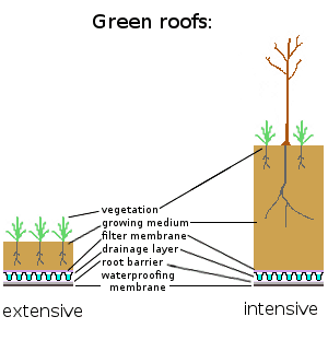Green Roof Advantages and Disadvantages 3 Green Roof Advantages and Disadvantages- Green Roof Diagram