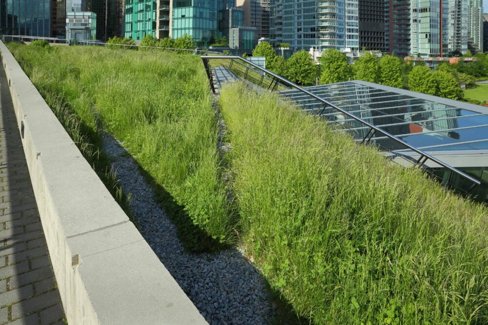Green Roof Advantages and Disadvantages → Sellers Roofing Company
