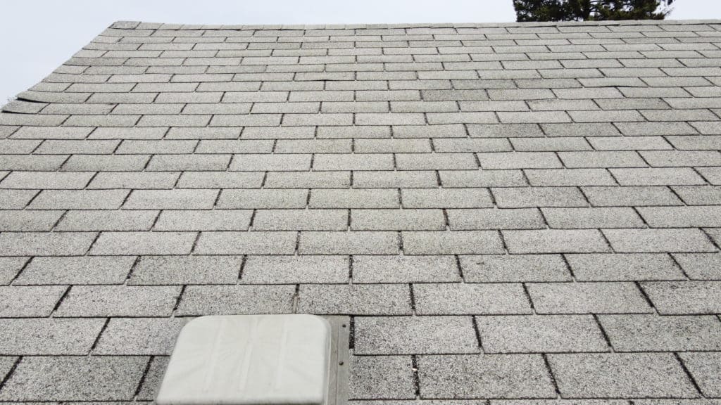 How Often Do Roofs Need To Be Replaced In Minnesota