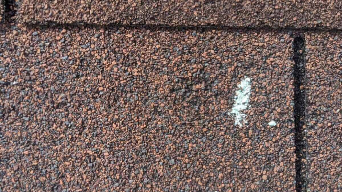 Why Is Hail Damage Bad For Your Roof? Sellers Roofing Company