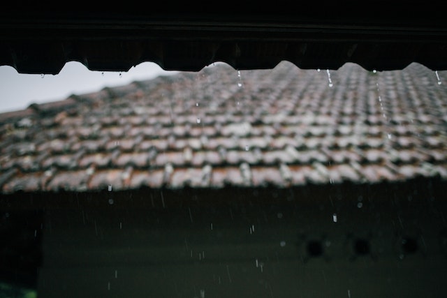 Rain falling on the roof.